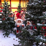 Decor Snow Standard 1 kg